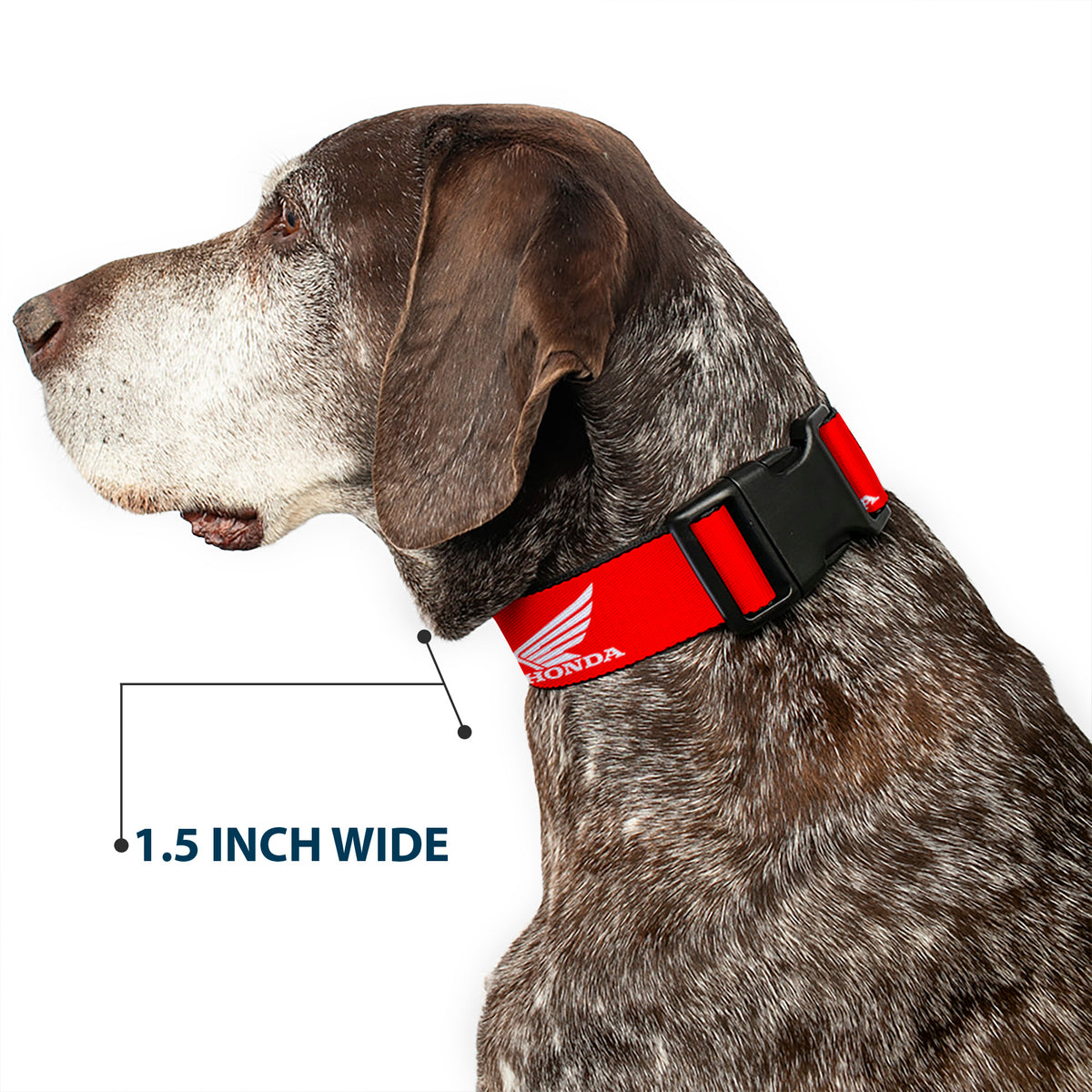Plastic Clip Collar - HONDA Motorcycle Logo Red/White Dog Collars Plastic Clip Side Release Honda Motorsports