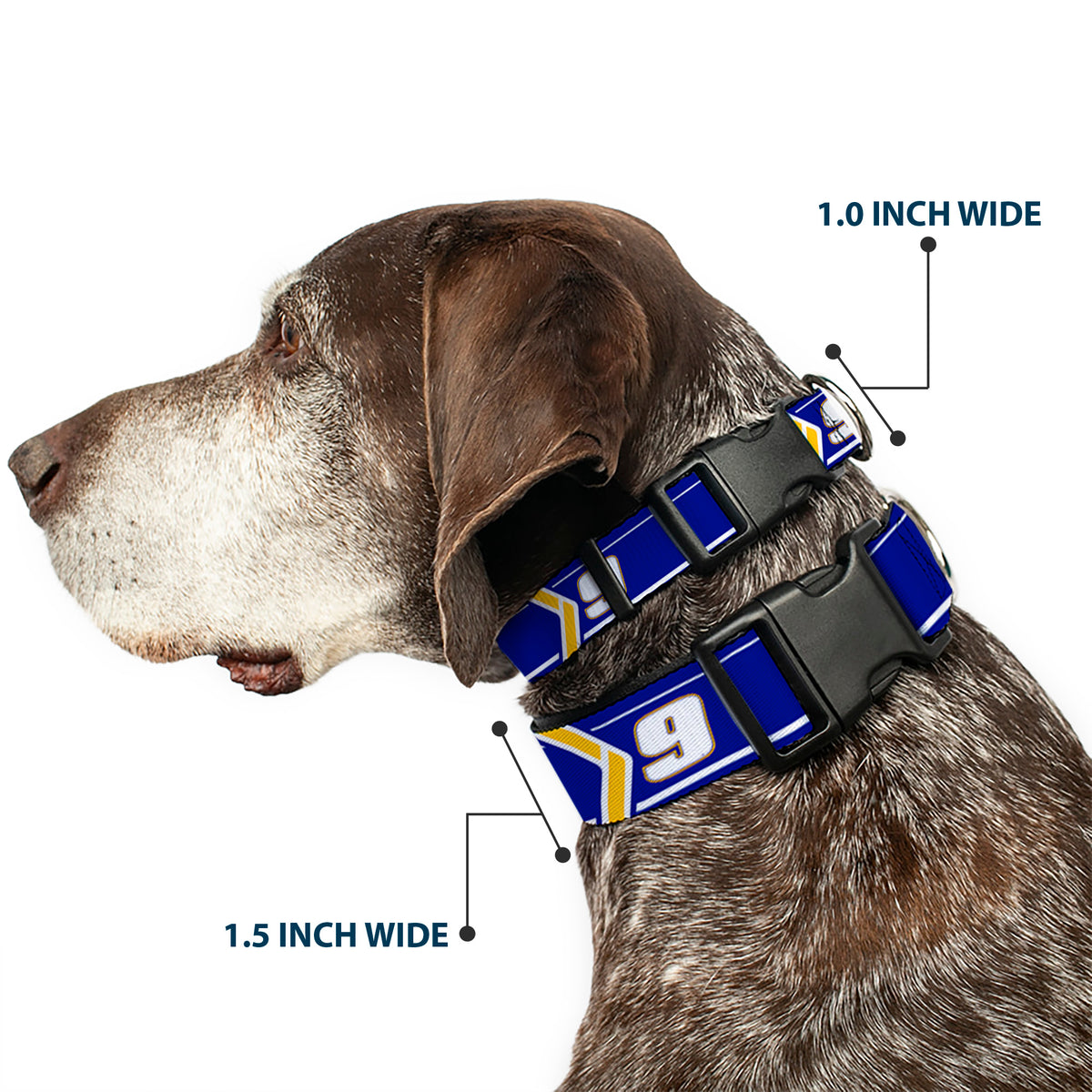 Plastic Clip Collar - Chase Elliott #9 Car Scheme Blue/Yellow/White Dog Collars Plastic Clip Side Release Hendrick Motorsports