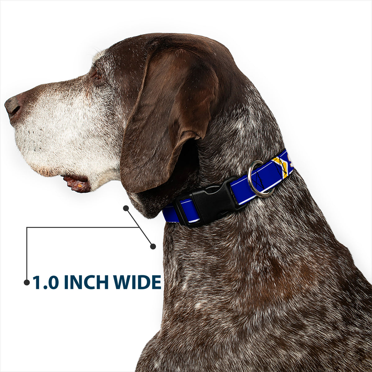 Plastic Clip Collar - Chase Elliott #9 Car Scheme Blue/Yellow/White Dog Collars Plastic Clip Side Release Hendrick Motorsports