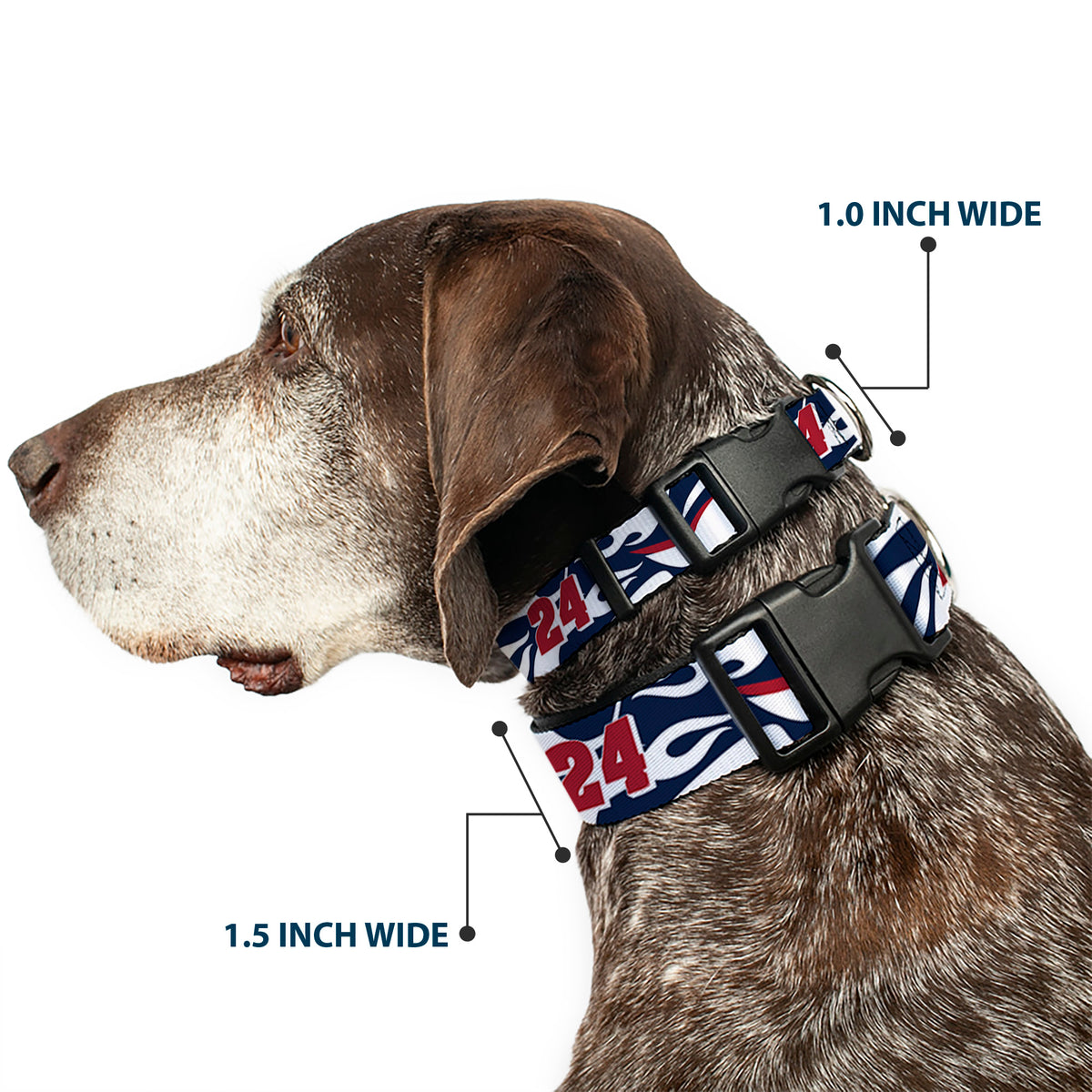 Plastic Clip Collar - William Byron #24 Car Scheme White/Red/Blue Dog Collars Plastic Clip Side Release Hendrick Motorsports