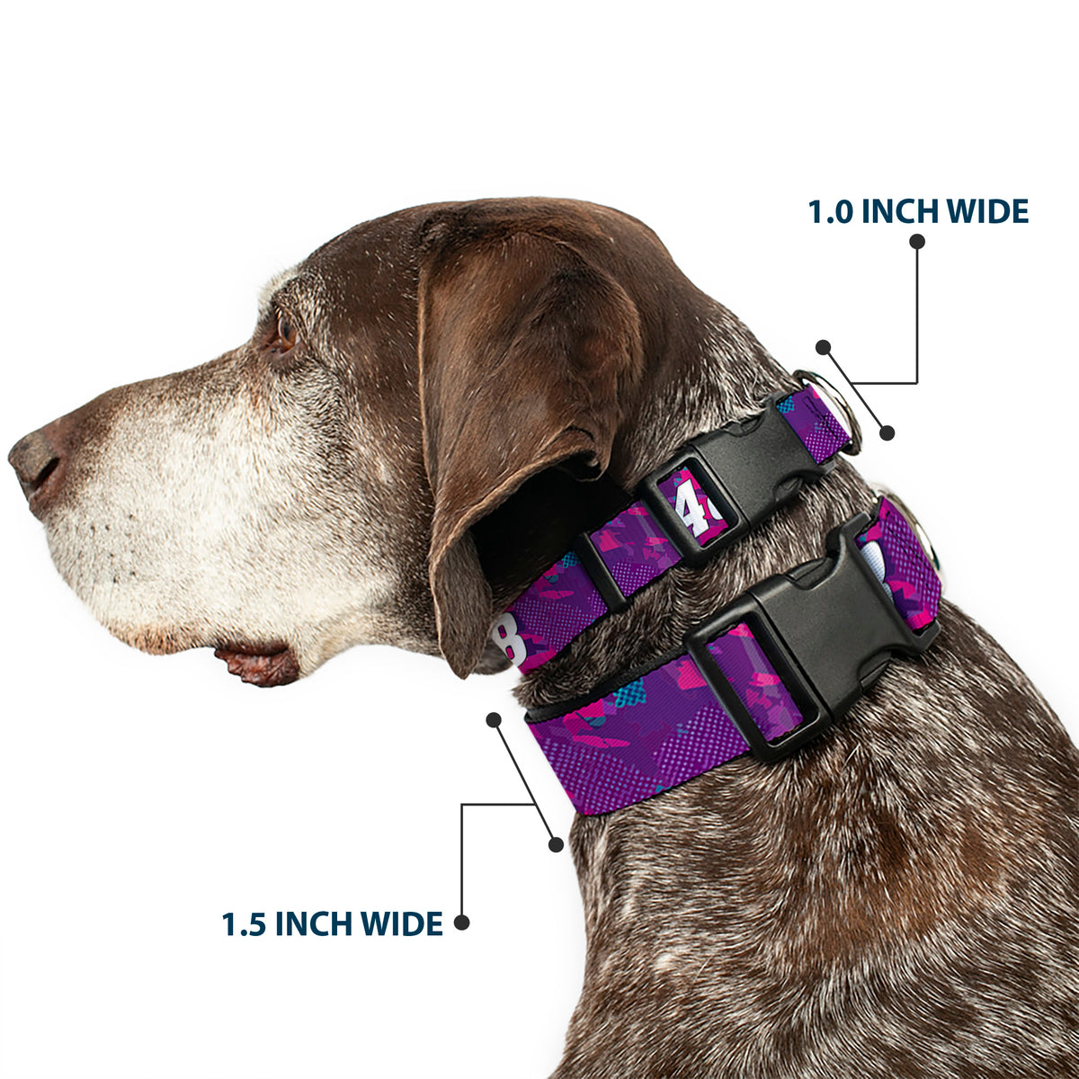 Plastic Clip Collar - Alex Bowman #48 Car Scheme Purples/Pinks/White Dog Collars Plastic Clip Side Release Hendrick Motorsports