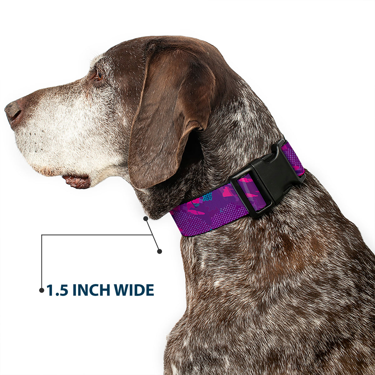 Plastic Clip Collar - Alex Bowman #48 Car Scheme Purples/Pinks/White Dog Collars Plastic Clip Side Release Hendrick Motorsports