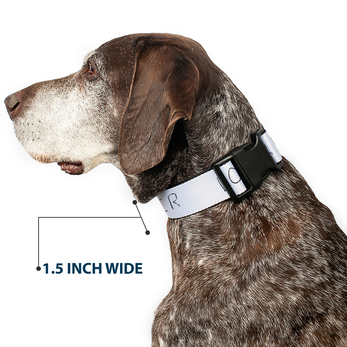 Plastic Clip Collar - It Chapter Two LOSER/LOVER White/Black/Red Dog Collars Plastic Clip Side Release IT