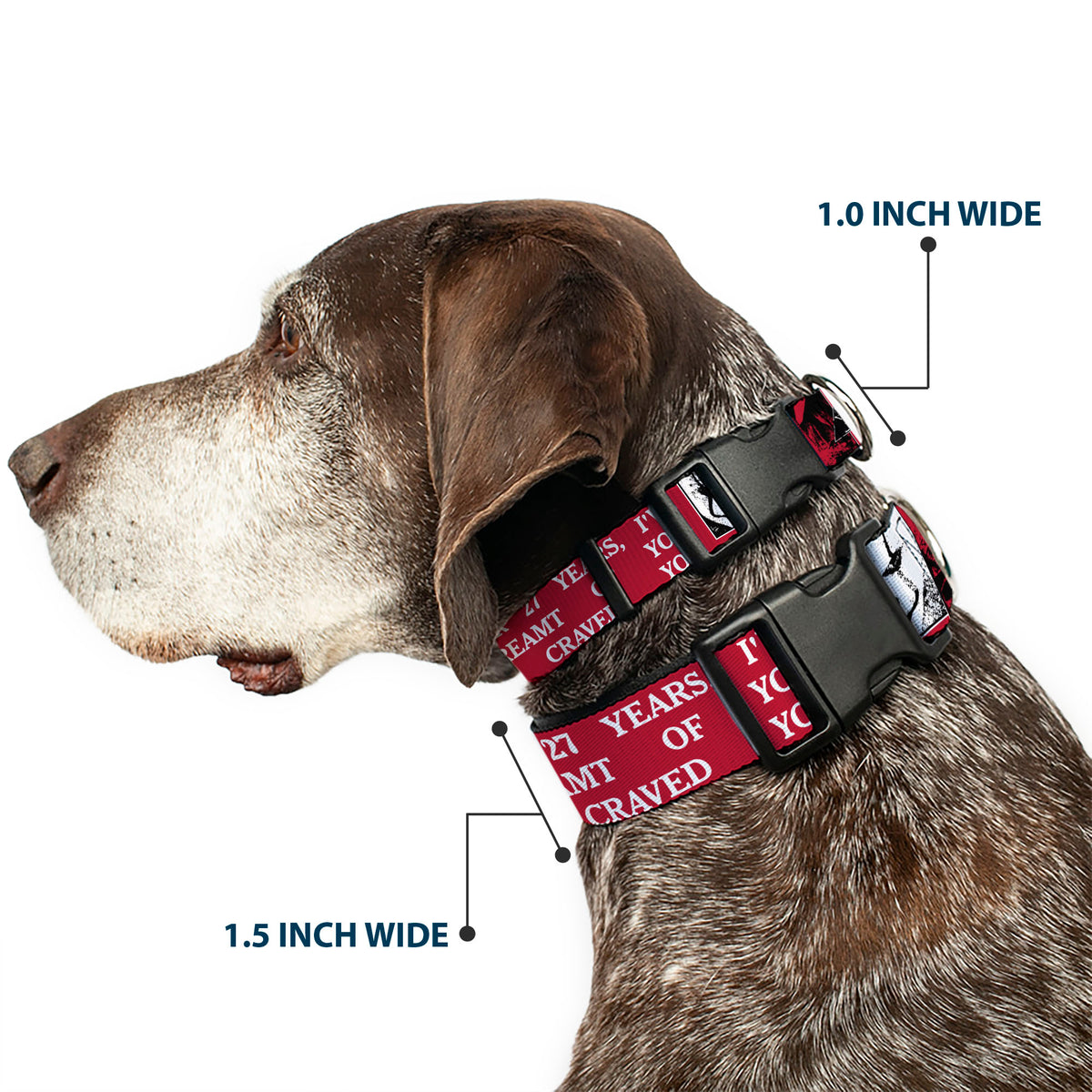 Plastic Clip Collar - IT Pennywise Poses and Quotes Collage Red/White/Grays Dog Collars Plastic Clip Side Release IT