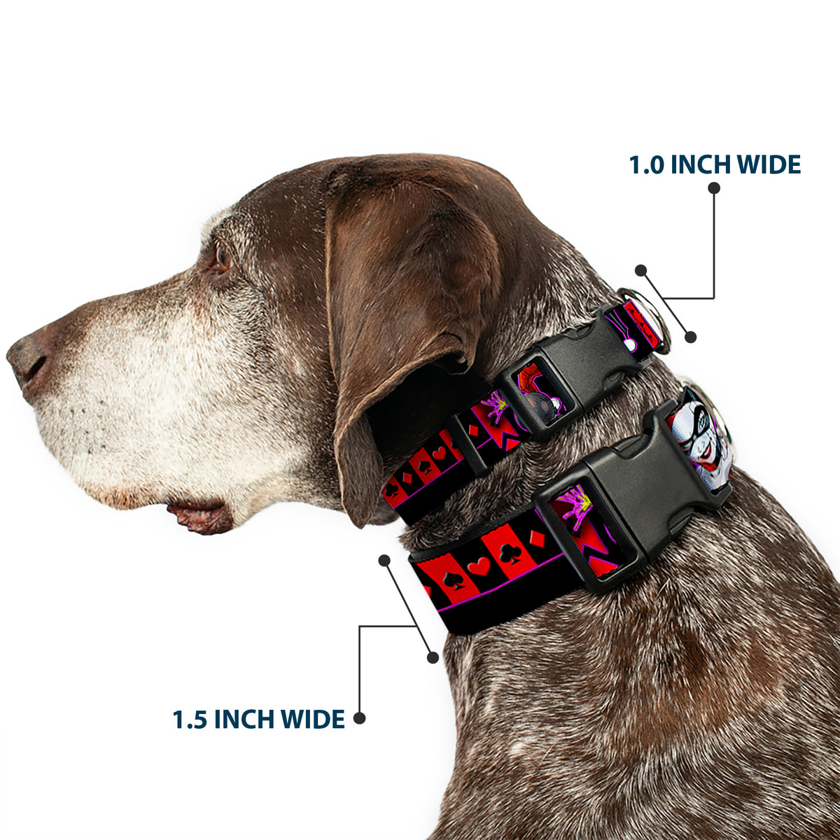 Plastic Clip Collar - HARLEY QUINN Bomb Poses/Suits Black/Purple/Red Dog Collars Plastic Clip Side Release DC Comics