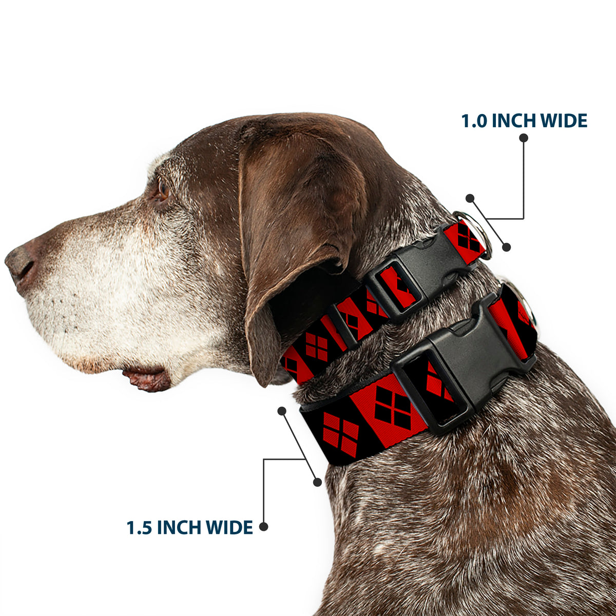 Plastic Clip Collar - Harley Quinn Diamond Blocks Red/Black Black/Red Dog Collars Plastic Clip Side Release DC Comics