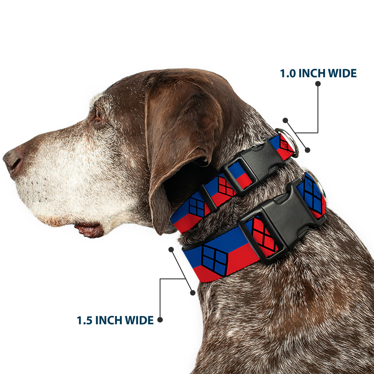 Plastic Clip Collar - Harley Quinn Diamond/Stripe Red/Blue Dog Collars Plastic Clip Side Release DC Comics