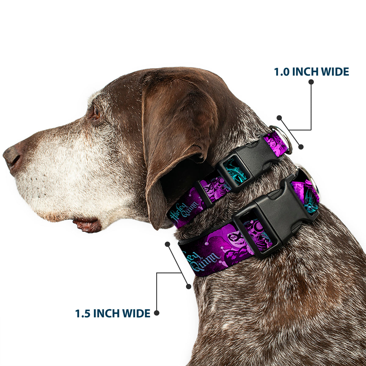 Plastic Clip Collar - HARLEY QUINN Pow & Aiming Poses/Joker Sketch Black/Turquoise/Fuchsia Dog Collars Plastic Clip Side Release DC Comics