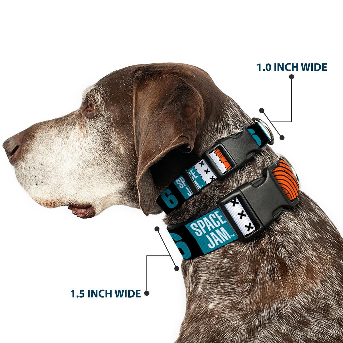 Plastic Clip Collar - SPACE JAM Number 6 Blocks Black/Turquoise/White/Red Dog Collars Plastic Clip Side Release Looney Tunes