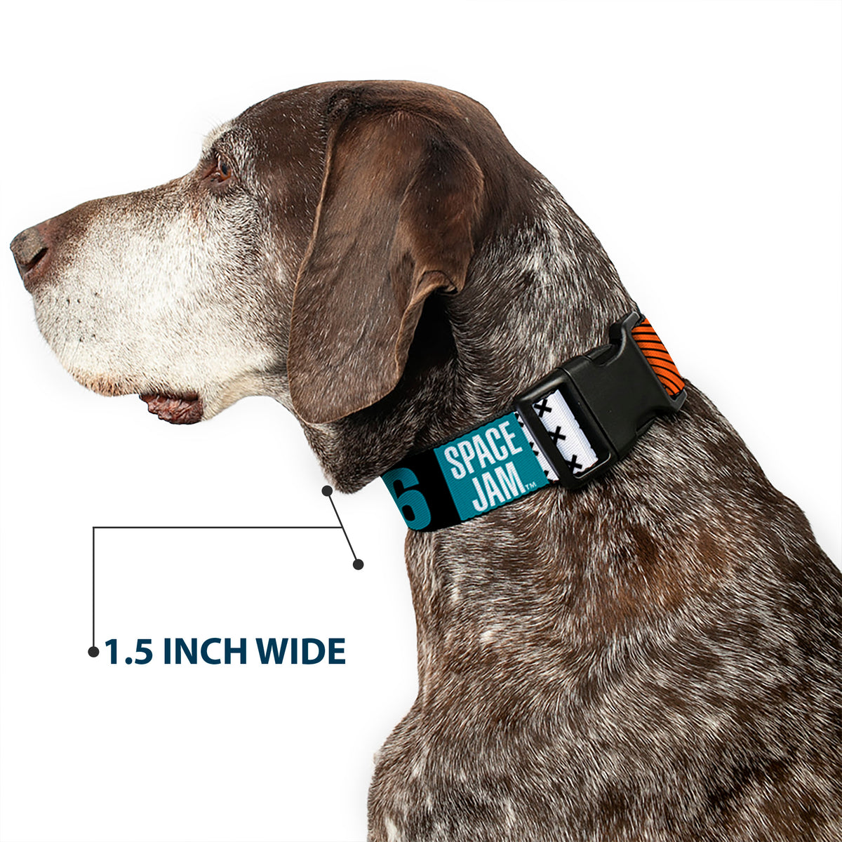 Plastic Clip Collar - SPACE JAM Number 6 Blocks Black/Turquoise/White/Red Dog Collars Plastic Clip Side Release Looney Tunes