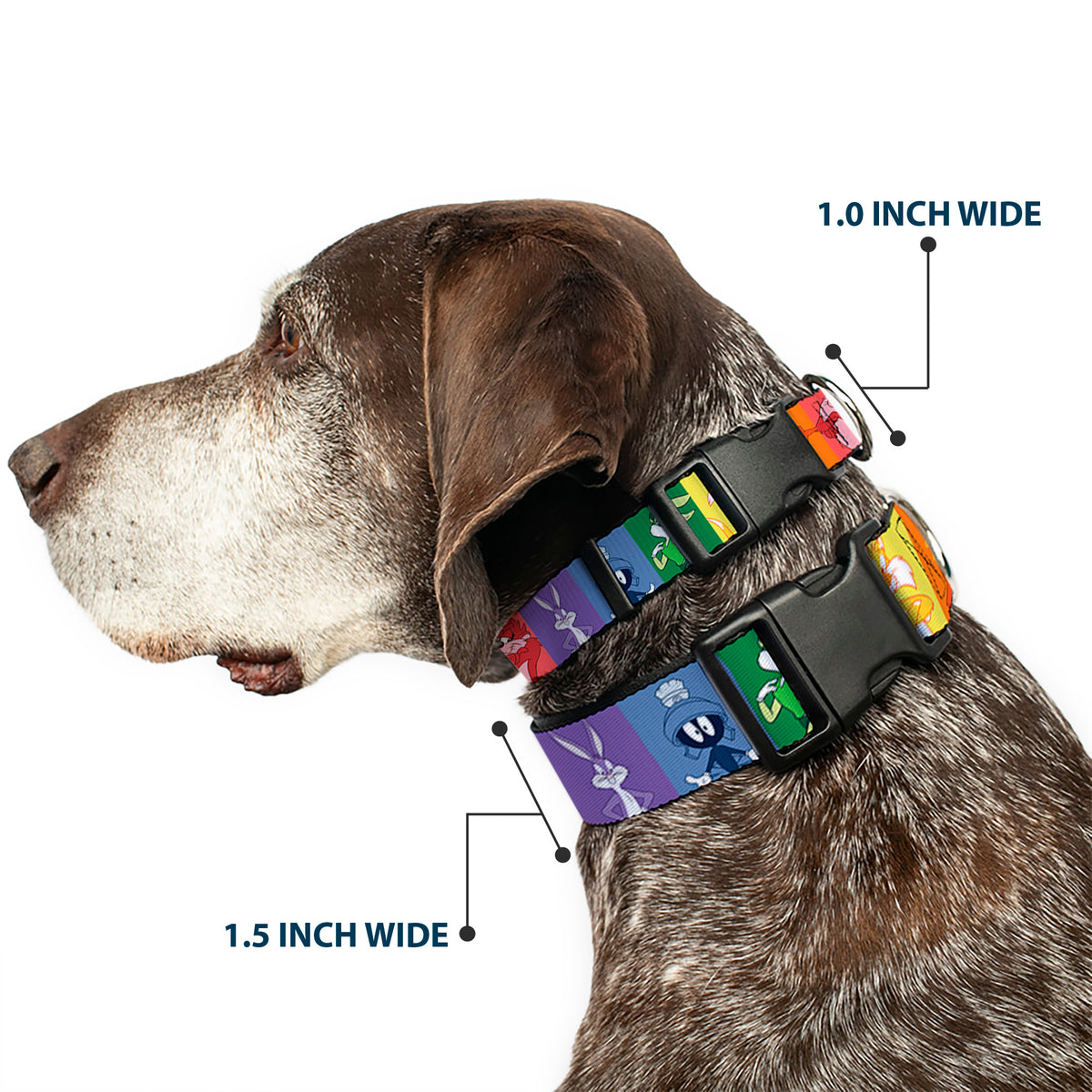 Plastic Clip Collar - Looney Tunes 6-Character Pose Pride Blocks Multi Color Dog Collars Plastic Clip Side Release Looney Tunes