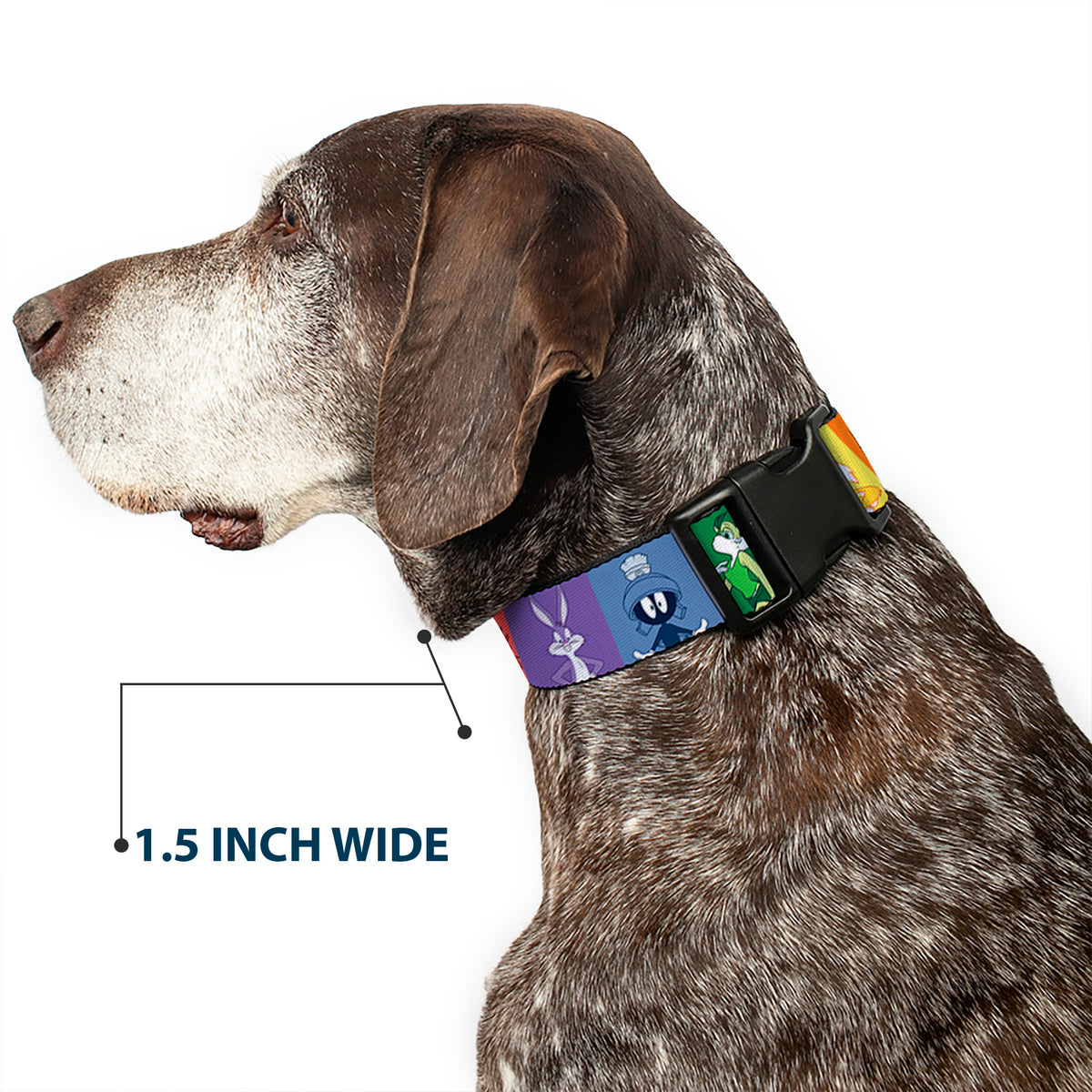 Plastic Clip Collar - Looney Tunes 6-Character Pose Pride Blocks Multi Color Dog Collars Plastic Clip Side Release Looney Tunes