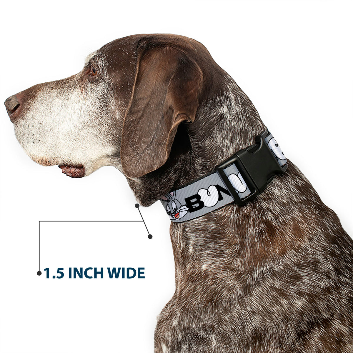 Plastic Clip Collar - BUGS BUNNY Smiling Face Text Gray Dog Collars Plastic Clip Side Release Looney Tunes