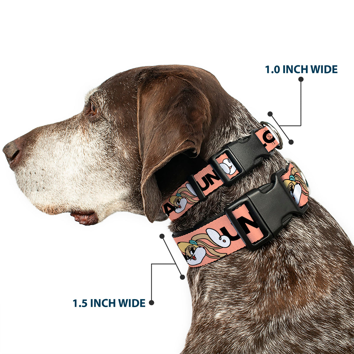 Plastic Clip Collar - LOLA BUNNY Smiling Face Text Peach Dog Collars Plastic Clip Side Release Looney Tunes
