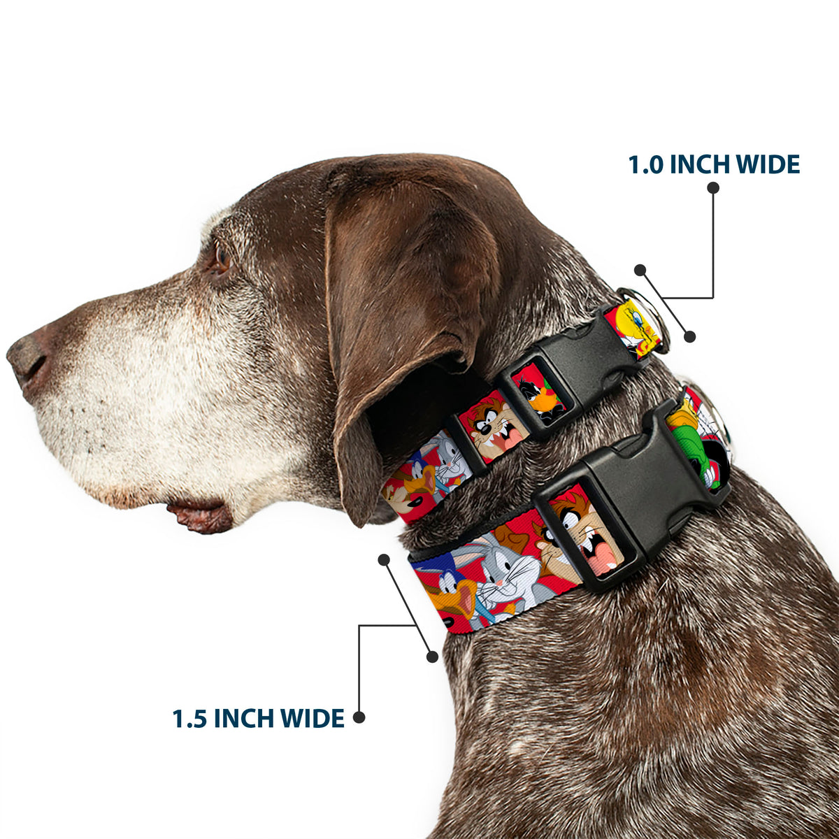 Plastic Clip Collar - Looney Tunes Eight Character Faces Red Dog Collars Plastic Clip Side Release Looney Tunes