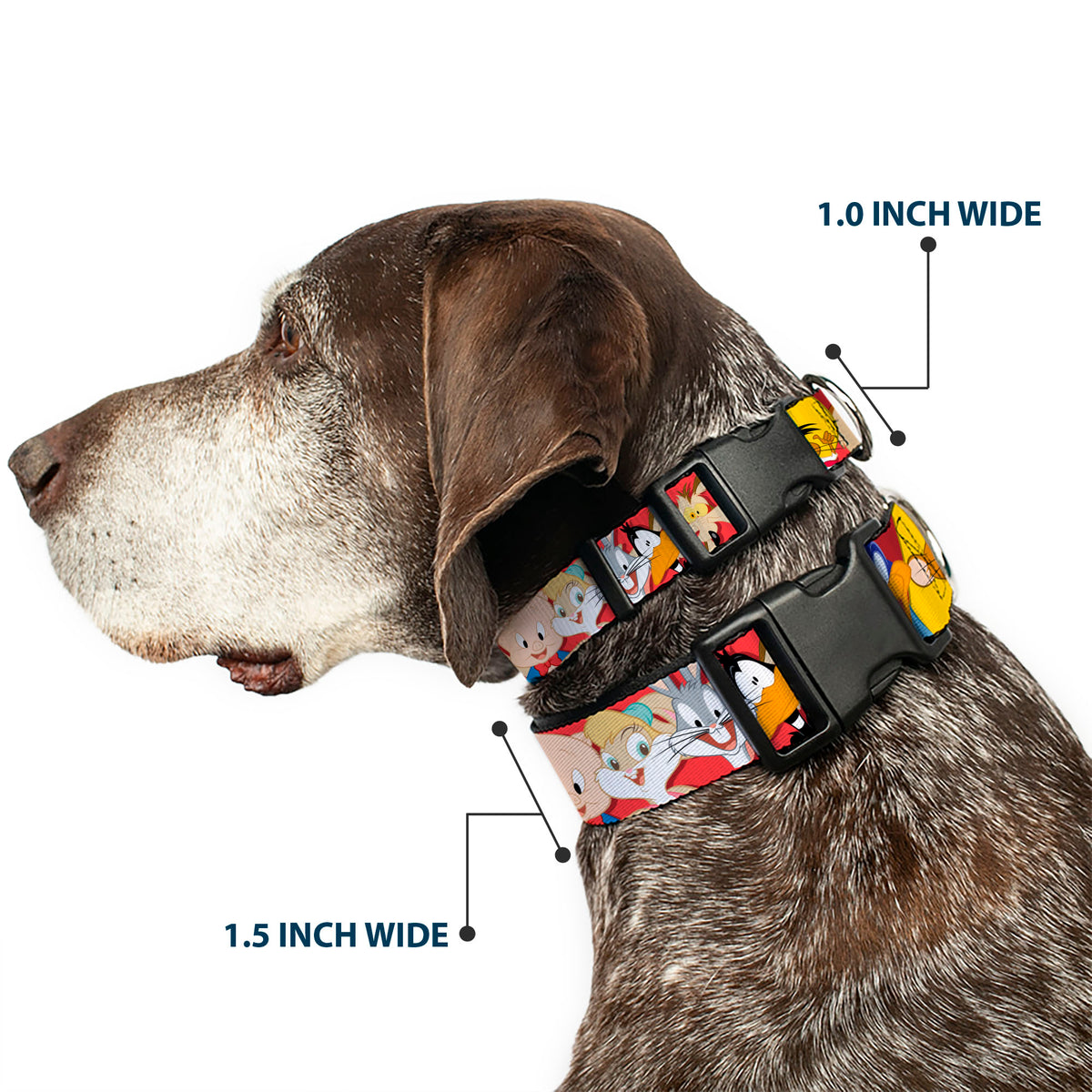 Plastic Clip Collar - Looney Tunes Twelve Character Expressions Red Dog Collars Plastic Clip Side Release Looney Tunes
