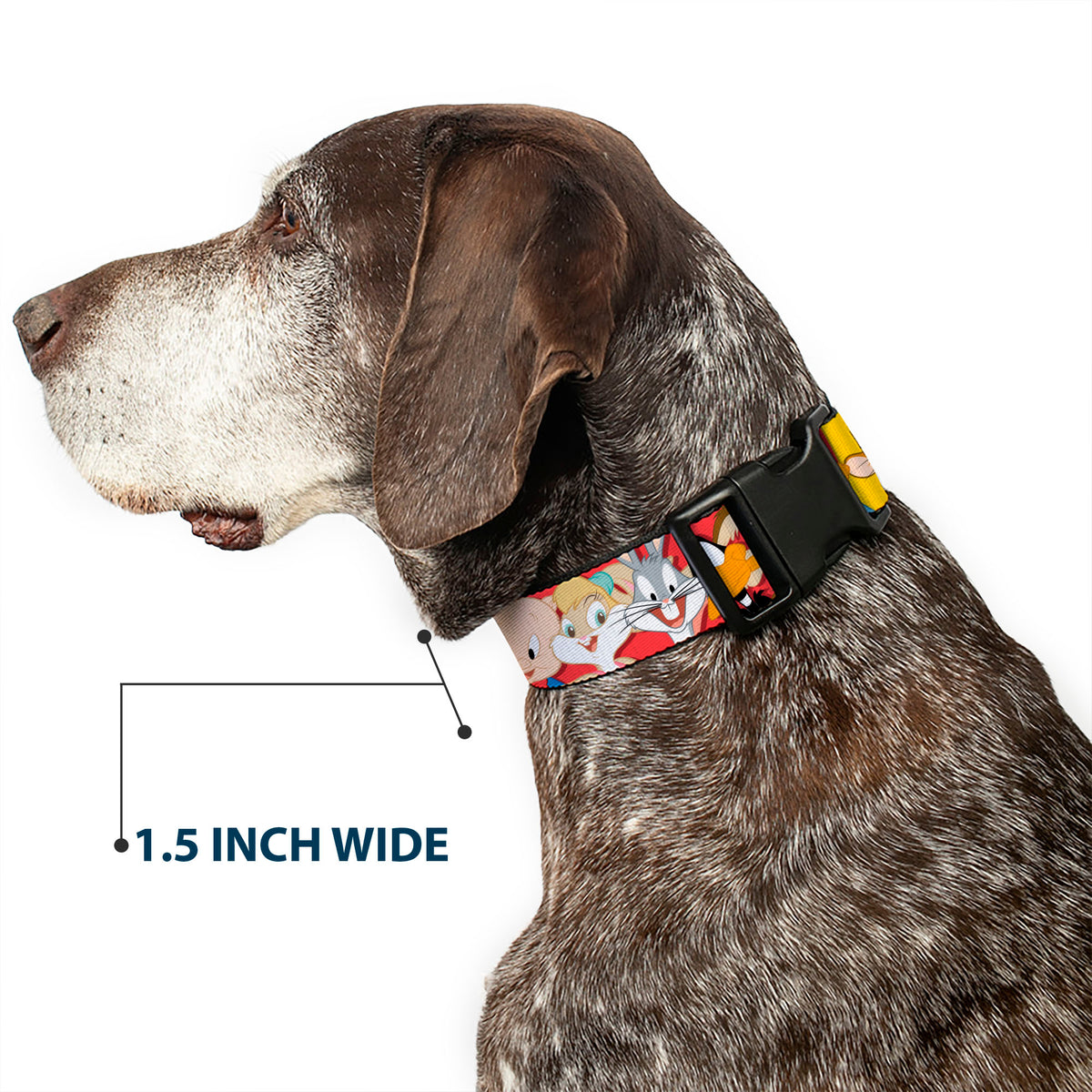 Plastic Clip Collar - Looney Tunes Twelve Character Expressions Red Dog Collars Plastic Clip Side Release Looney Tunes