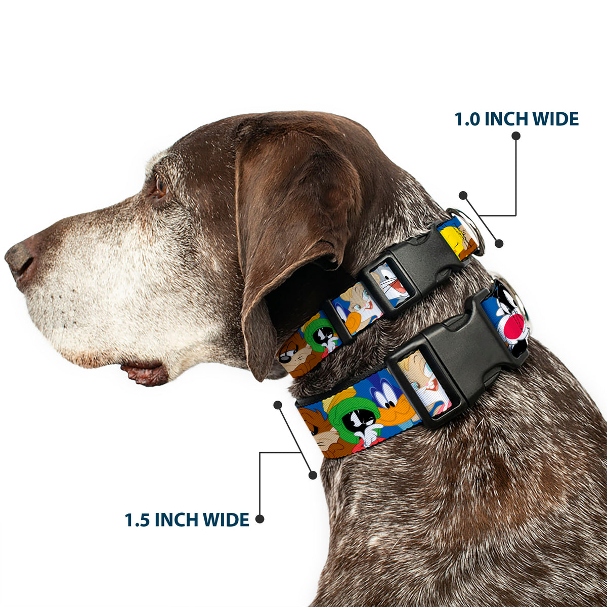 Plastic Clip Collar - Looney Tunes Seven Character Faces Stacked Blue Dog Collars Plastic Clip Side Release Looney Tunes