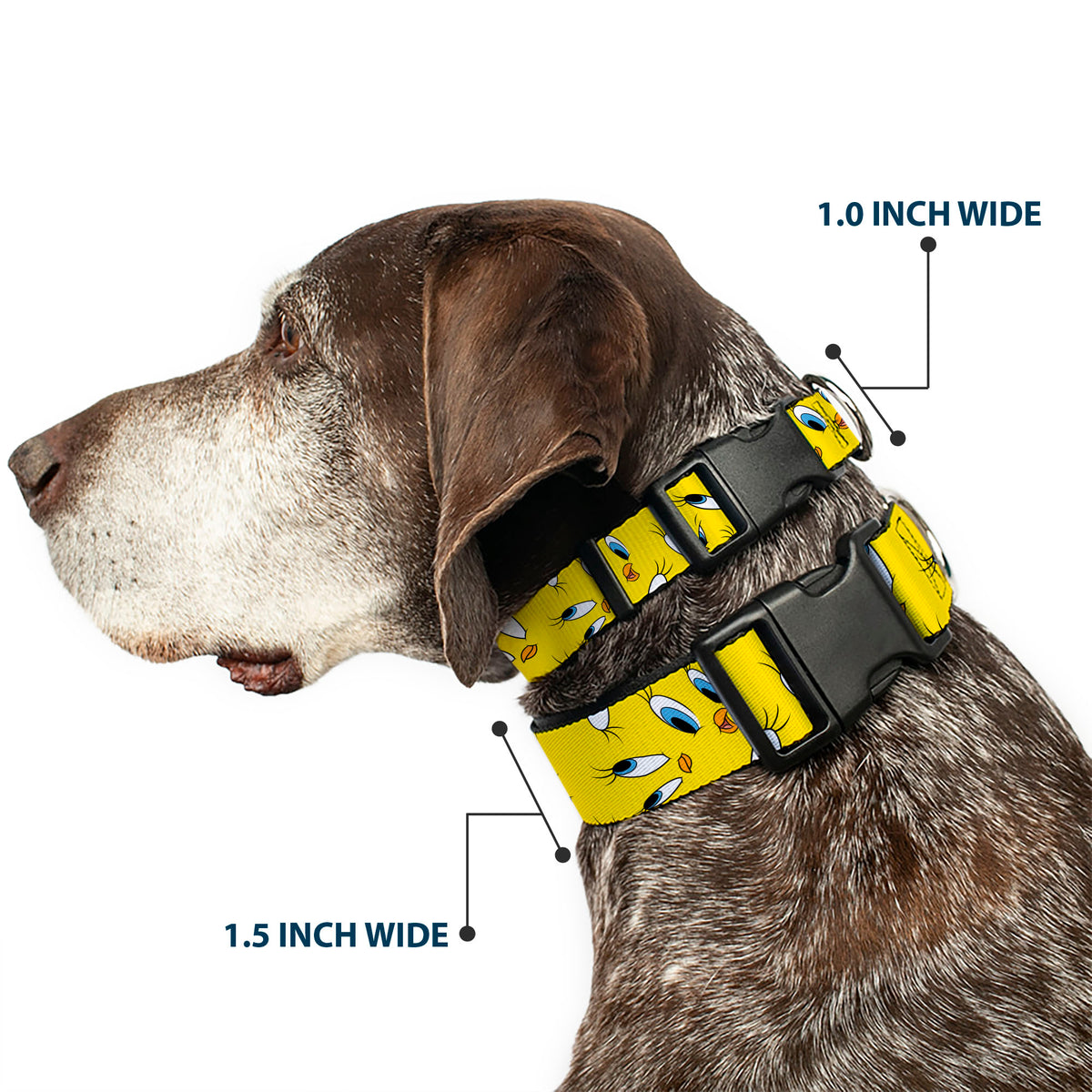 Plastic Clip Collar - Tweety Expression and Eyes Scattered Yellow Dog Collars Plastic Clip Side Release Looney Tunes