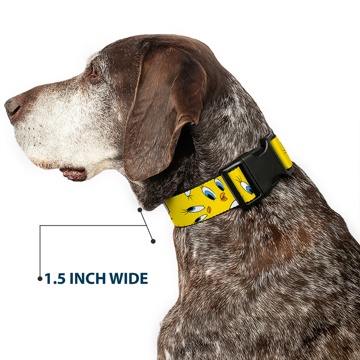 Plastic Clip Collar - Tweety Expression and Eyes Scattered Yellow Dog Collars Plastic Clip Side Release Looney Tunes