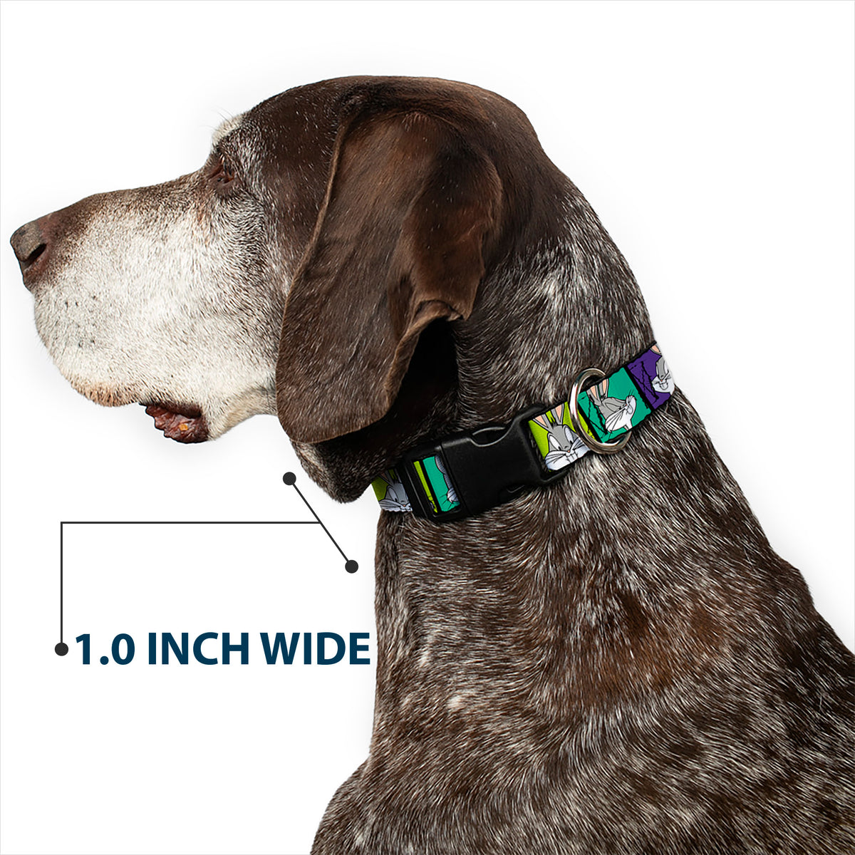 Plastic Clip Collar - Bugs Bunny Expression Blocks Multi Color Dog Collars Plastic Clip Side Release Looney Tunes