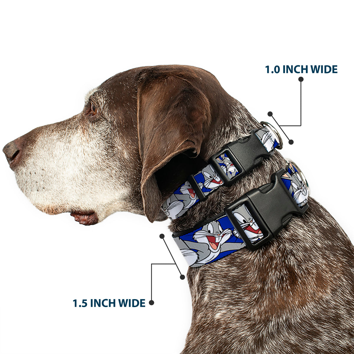 Plastic Clip Collar - Bugs Bunny CLOSE-UP Poses Blue Dog Collars Plastic Clip Side Release Looney Tunes