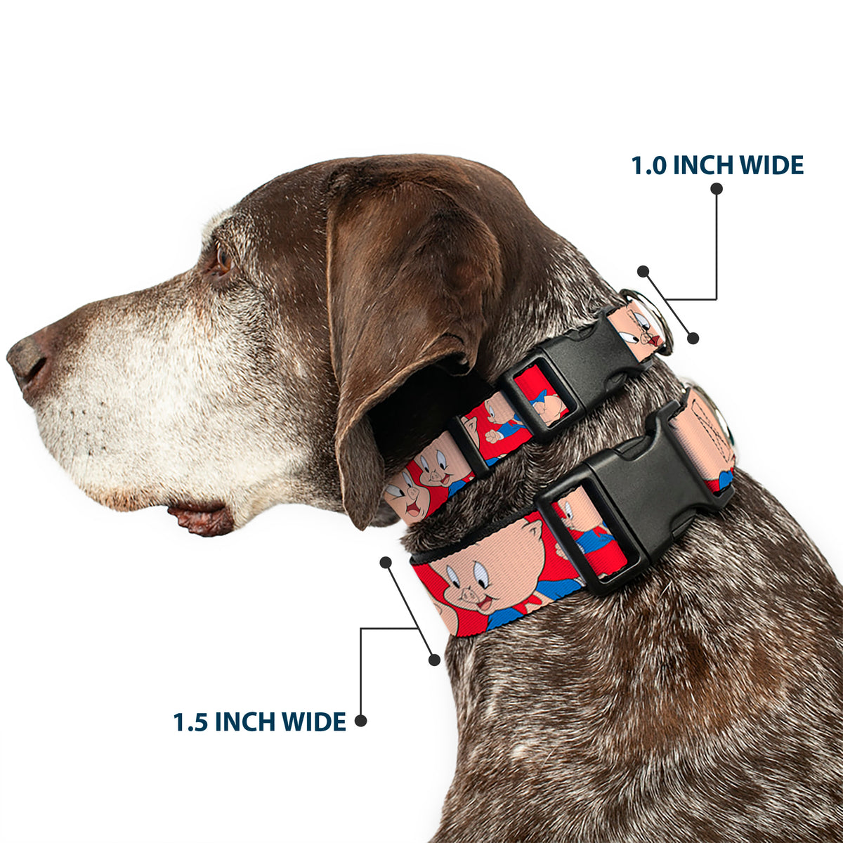 Plastic Clip Collar - Porky Pig Expressions Red Dog Collars Plastic Clip Side Release Looney Tunes