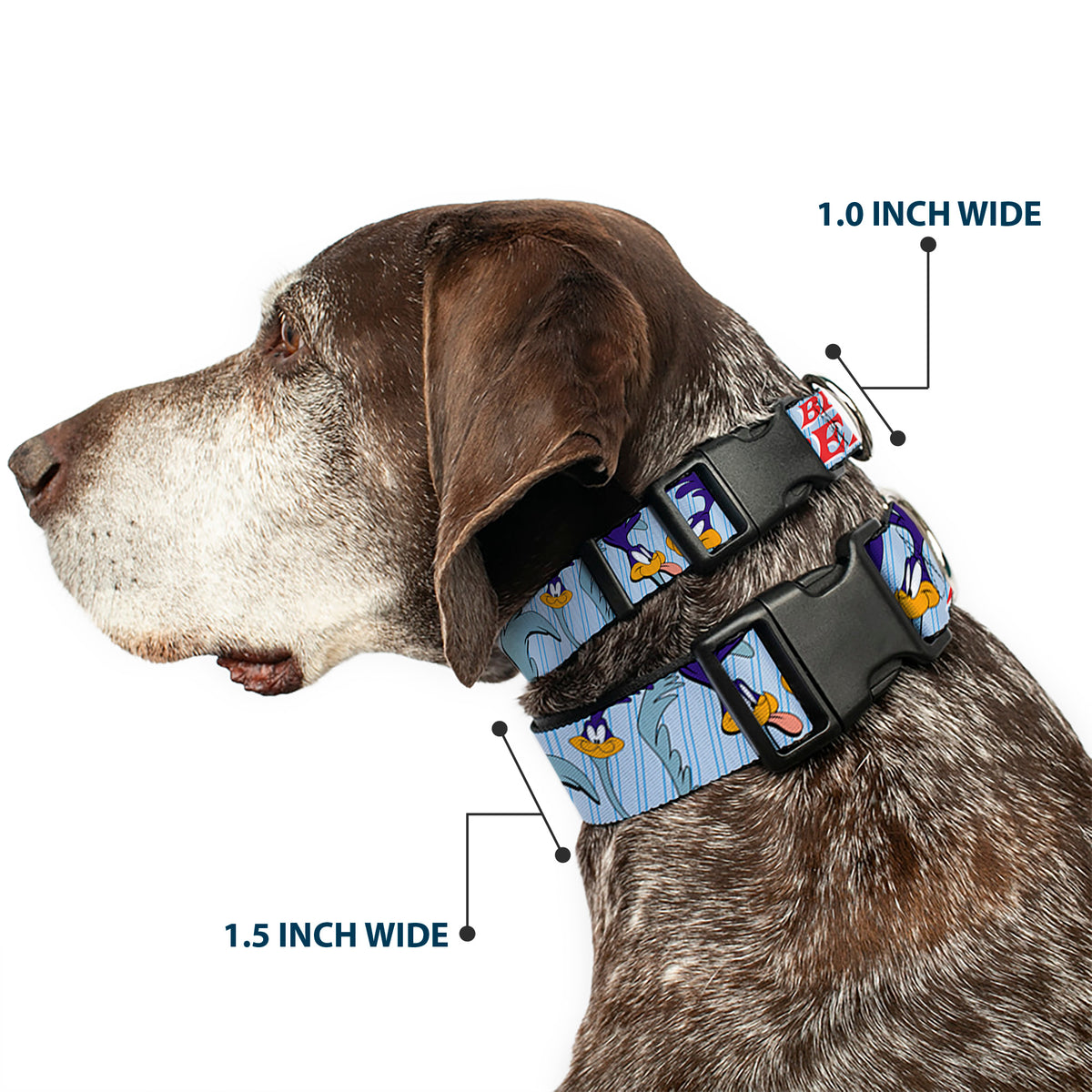 Plastic Clip Collar - MEEP MEEP!! w/Road Runner Poses Baby Blue Dog Collars Plastic Clip Side Release Looney Tunes