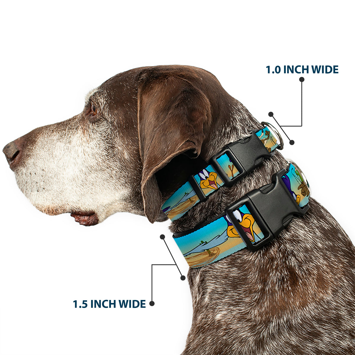 Plastic Clip Collar - Road Runner/Wile E. Coyote Scene1 Brown Fade Dog Collars Plastic Clip Side Release Looney Tunes