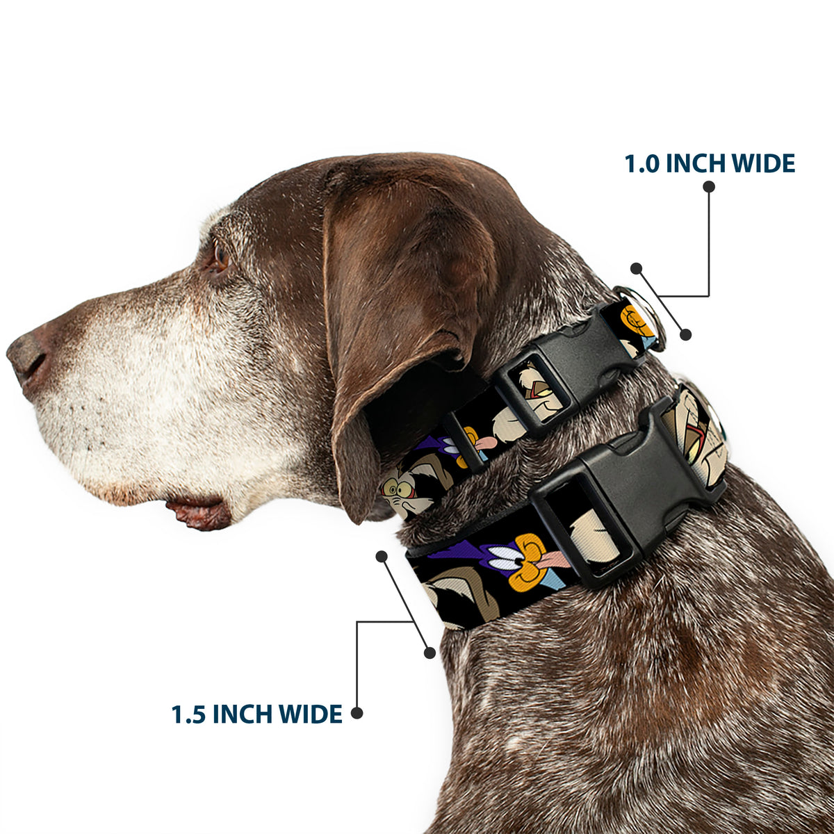 Plastic Clip Collar - Road Runner/Wile E. Coyote Expressions CLOSE-UP Black Dog Collars Plastic Clip Side Release Looney Tunes