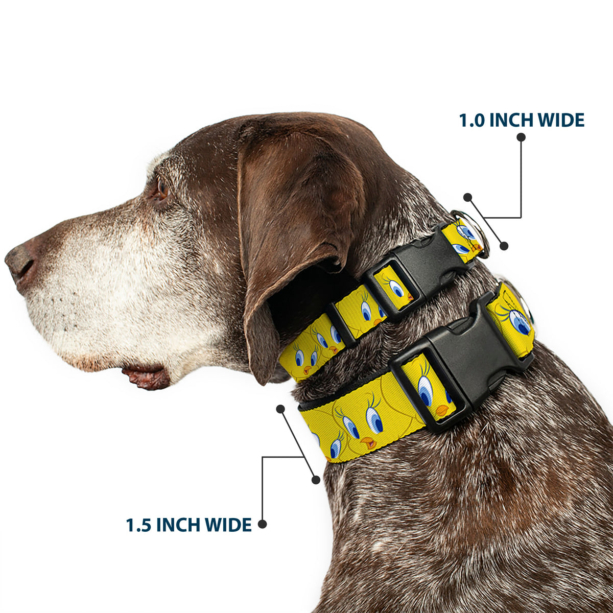 Plastic Clip Collar - Tweety Bird Expressions Yellow Dog Collars Plastic Clip Side Release Looney Tunes