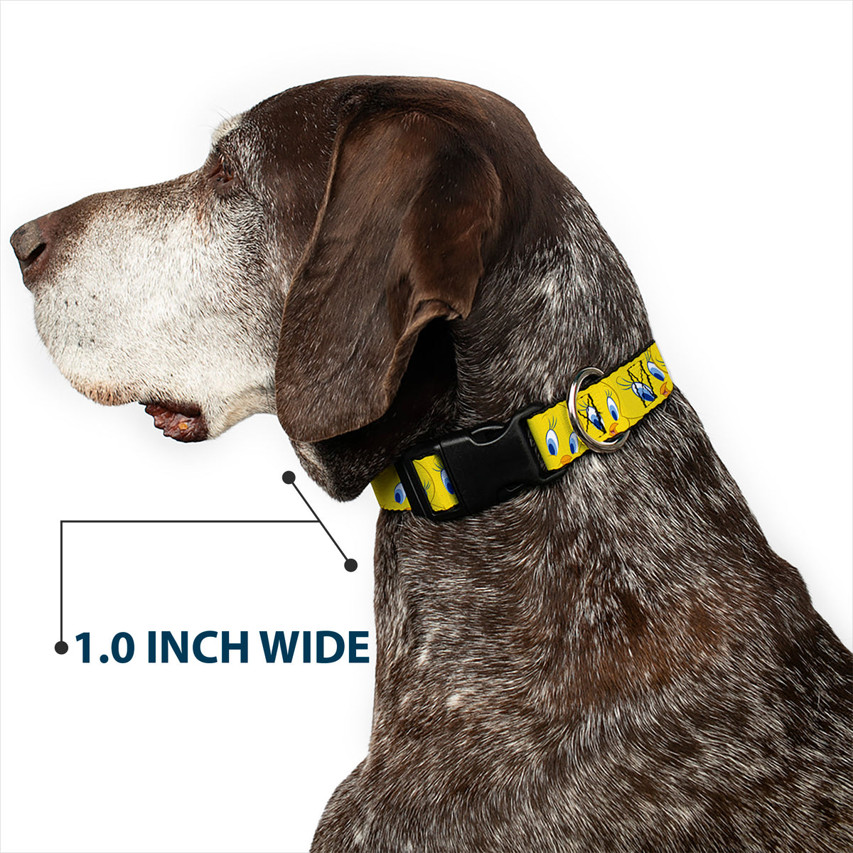 Plastic Clip Collar - Tweety Bird Expressions Yellow Dog Collars Plastic Clip Side Release Looney Tunes