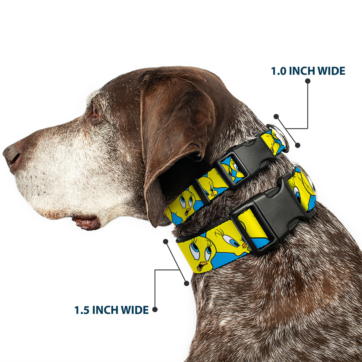 Plastic Clip Collar - Tweety Bird CLOSE-UP Expressions Baby Blue Dog Collars Plastic Clip Side Release Looney Tunes