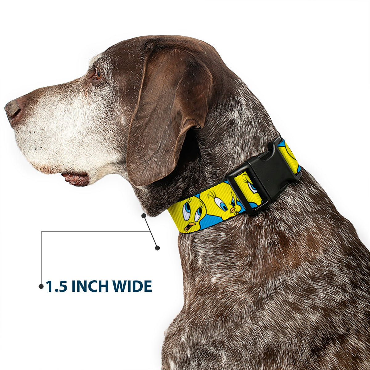 Plastic Clip Collar - Tweety Bird CLOSE-UP Expressions Baby Blue Dog Collars Plastic Clip Side Release Looney Tunes