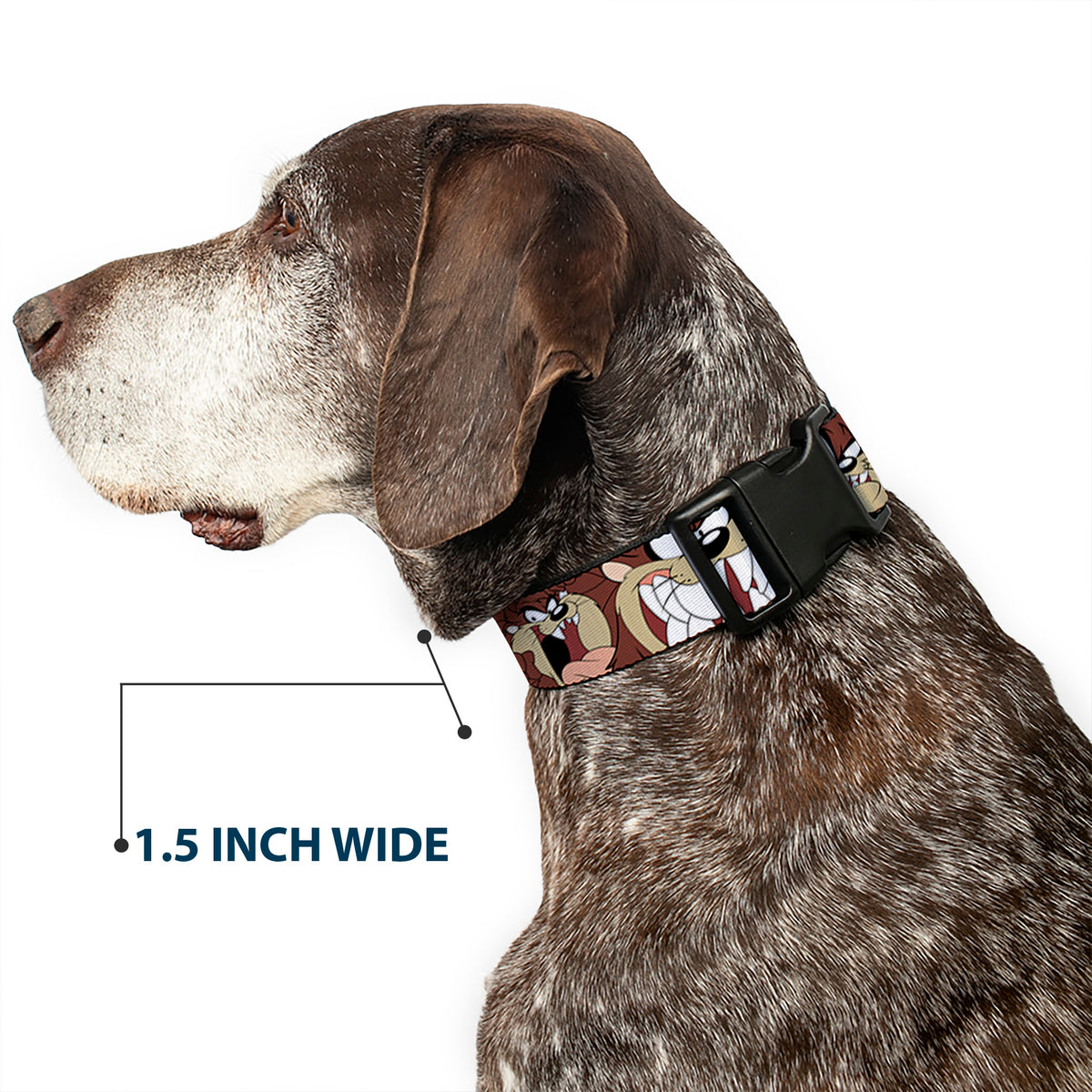 Plastic Clip Collar - Tasmanian Devil Expressions Brown Dog Collars Plastic Clip Side Release Looney Tunes