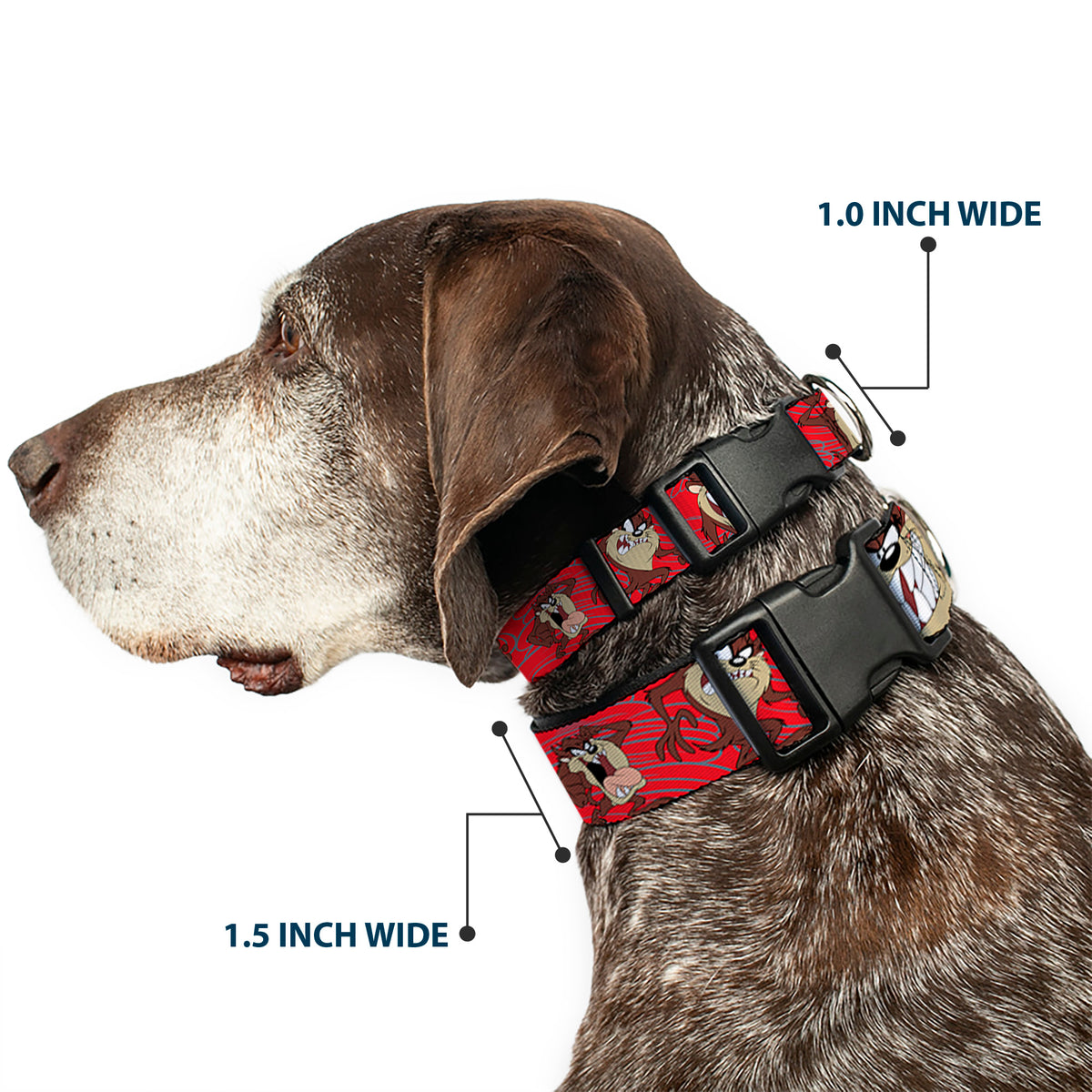 Plastic Clip Collar - Tasmanian Devil Expressions Red Swirl Dog Collars Plastic Clip Side Release Looney Tunes