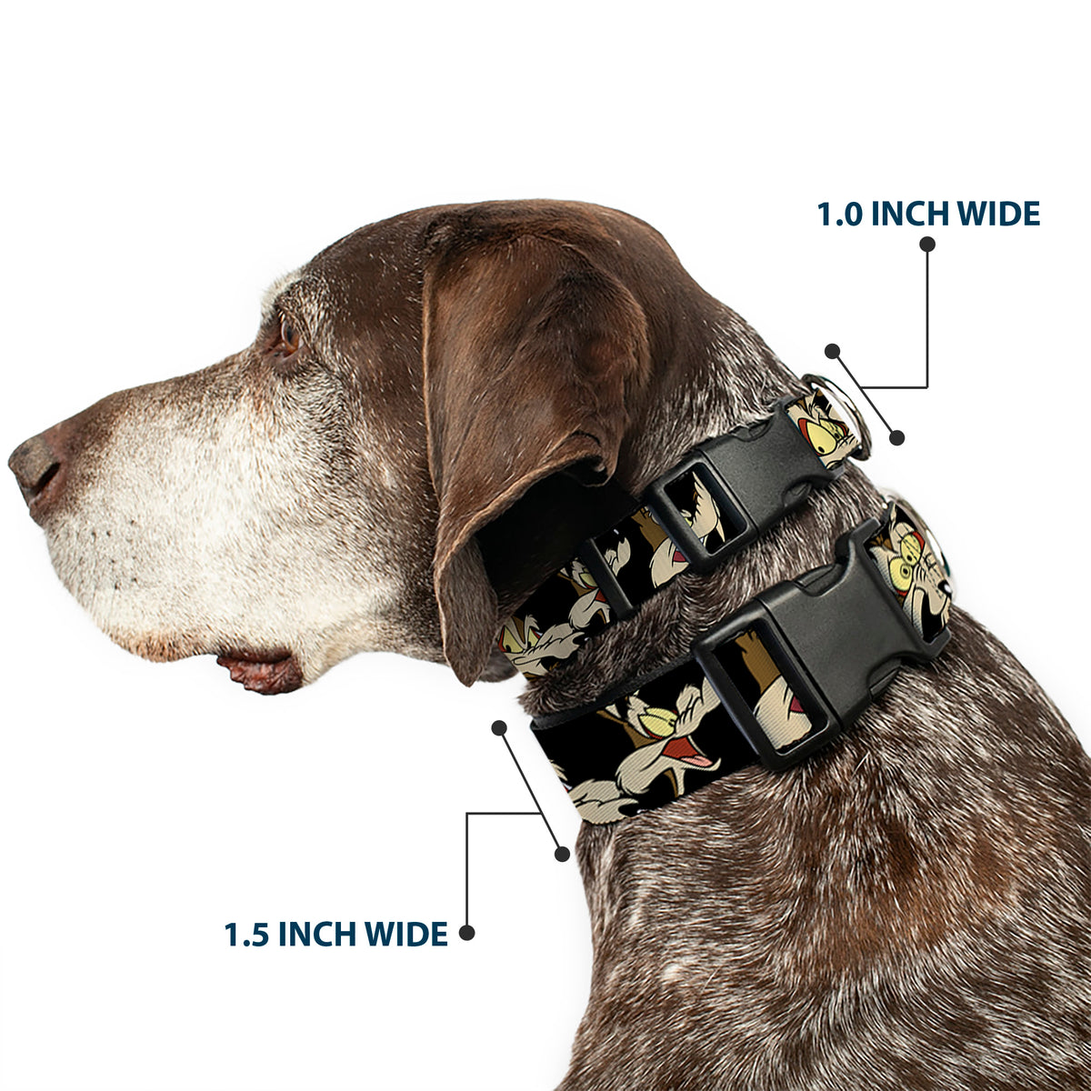 Plastic Clip Collar - Wile E. Coyote Expressions Black Dog Collars Plastic Clip Side Release Looney Tunes