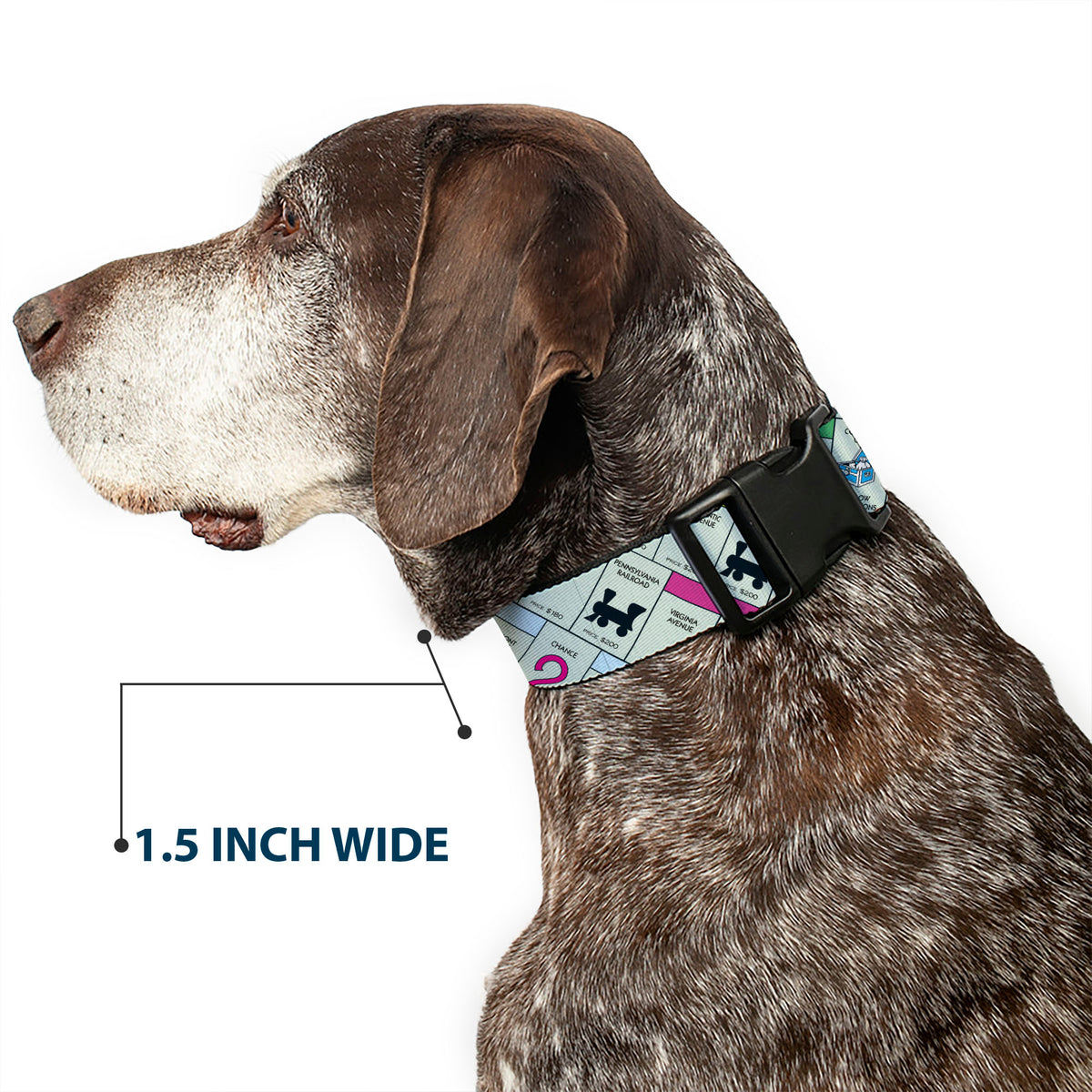 Plastic Clip Collar - Monopoly Game Board Spaces Collage Dog Collars Plastic Clip Side Release Monopoly
