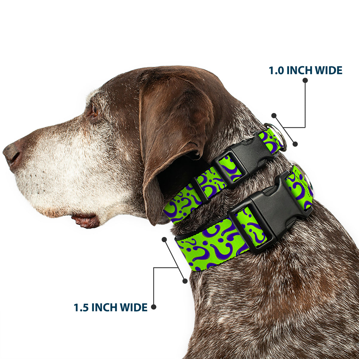 Plastic Clip Collar - Question Mark Scattered Lime Green/Purple Dog Collars Plastic Clip Side Release DC Comics
