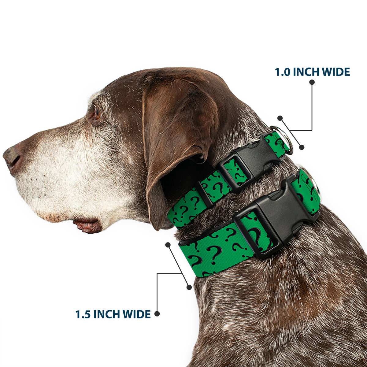 Plastic Clip Collar - Question Mark Scattered3 Dark Green/Black Dog Collars Plastic Clip Side Release DC Comics