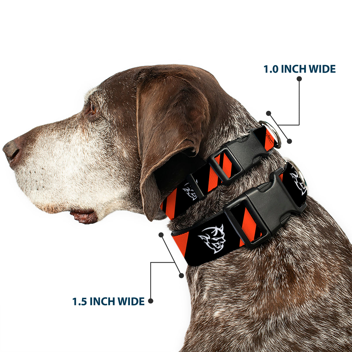 Plastic Clip Collar - Dodge Stripes/Demon Icon Black/Red/White Dog Collars Plastic Clip Side Release Dodge
