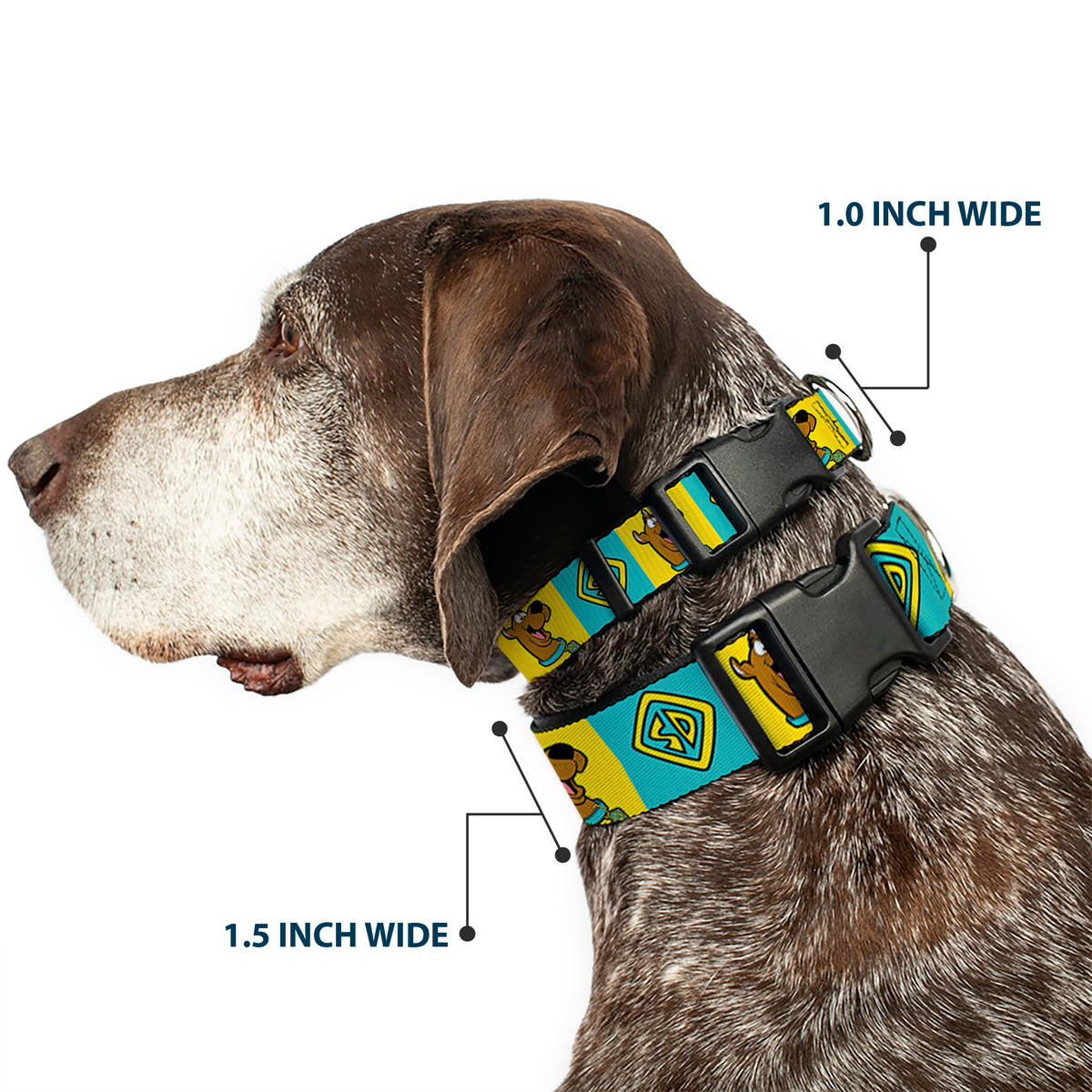 Plastic Clip Collar - Scooby Doo Pose and Dog Tag Blocks Yellow/Blue Dog Collars Plastic Clip Side Release Scooby Doo