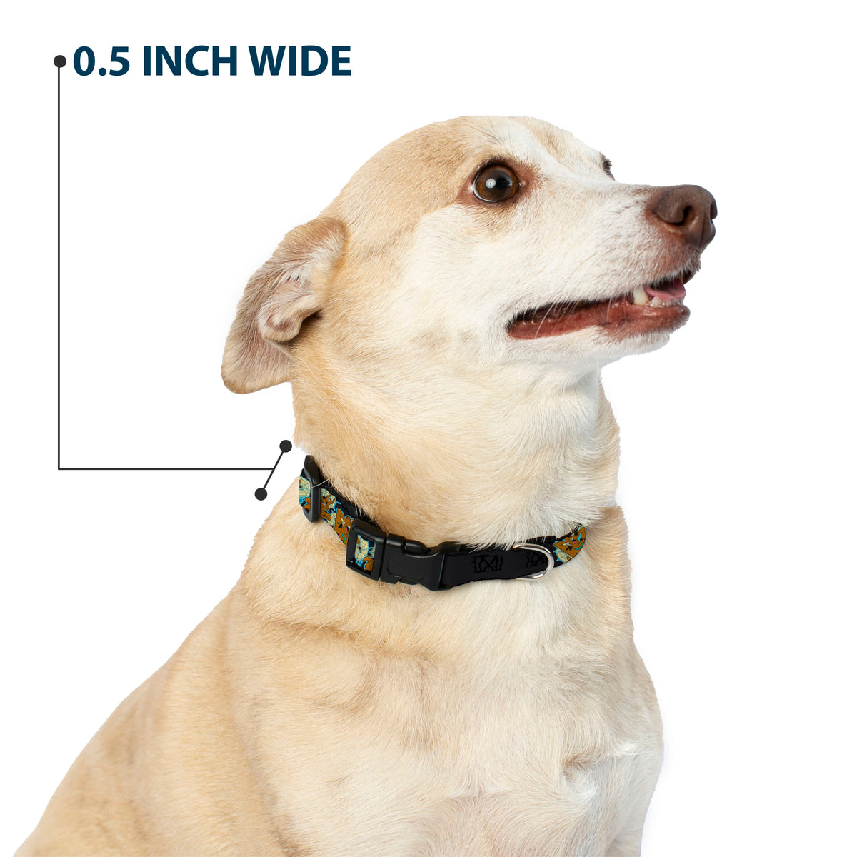 Plastic Clip Collar - Scooby-Doo Scared Spider Web Poses Black Dog Collars Plastic Clip Side Release Scooby Doo