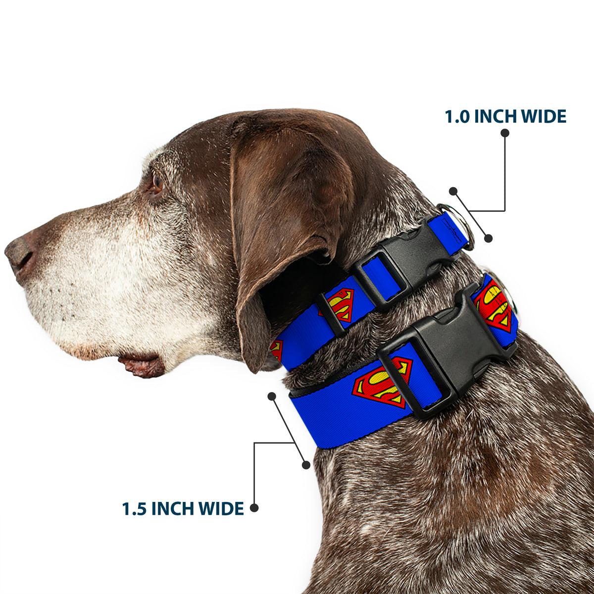 Plastic Clip Collar - Superman Shield Blue Dog Collars Plastic Clip Side Release DC Comics