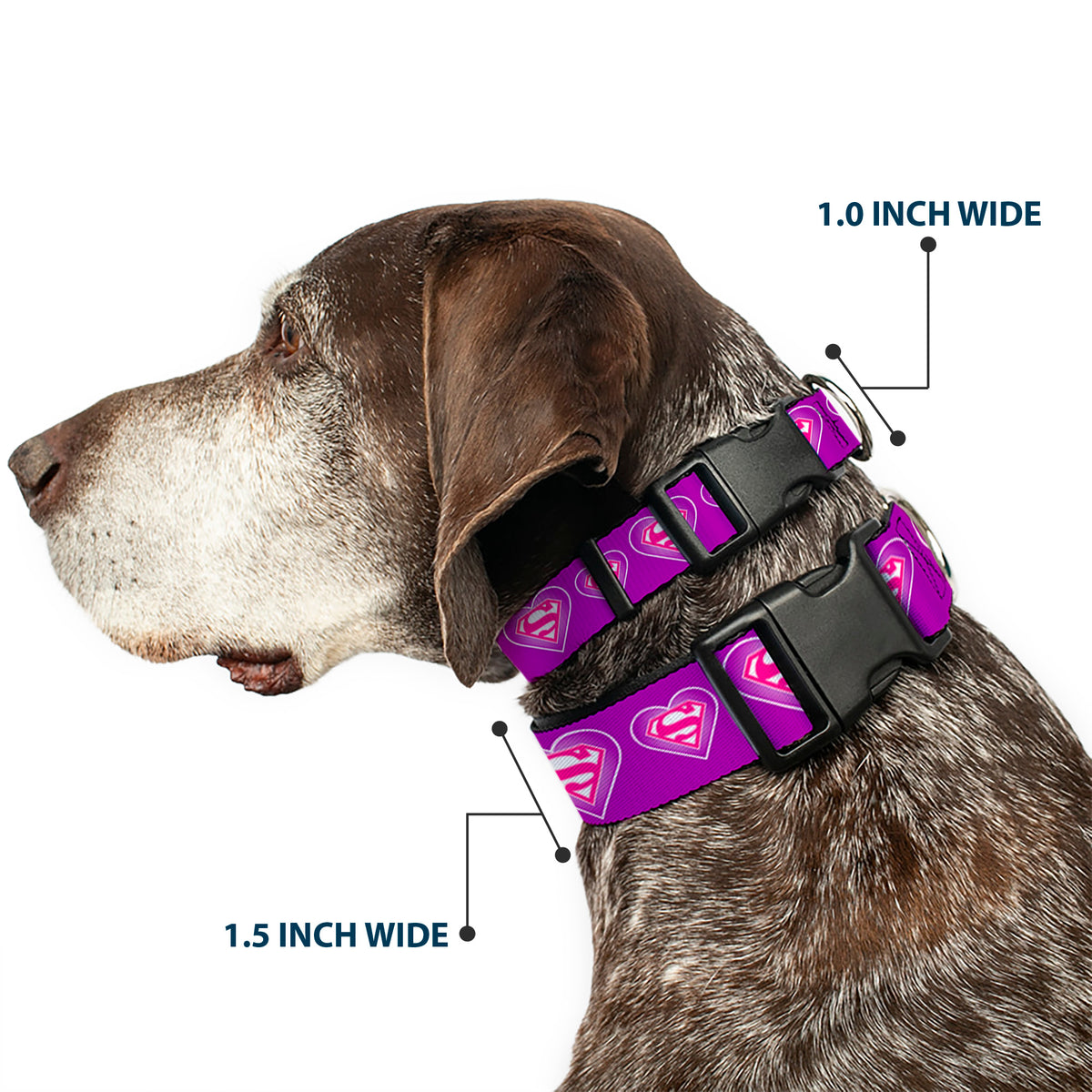 Plastic Clip Collar - Superman Logo in Heart Purple/White/Pink Dog Collars Plastic Clip Side Release DC Comics