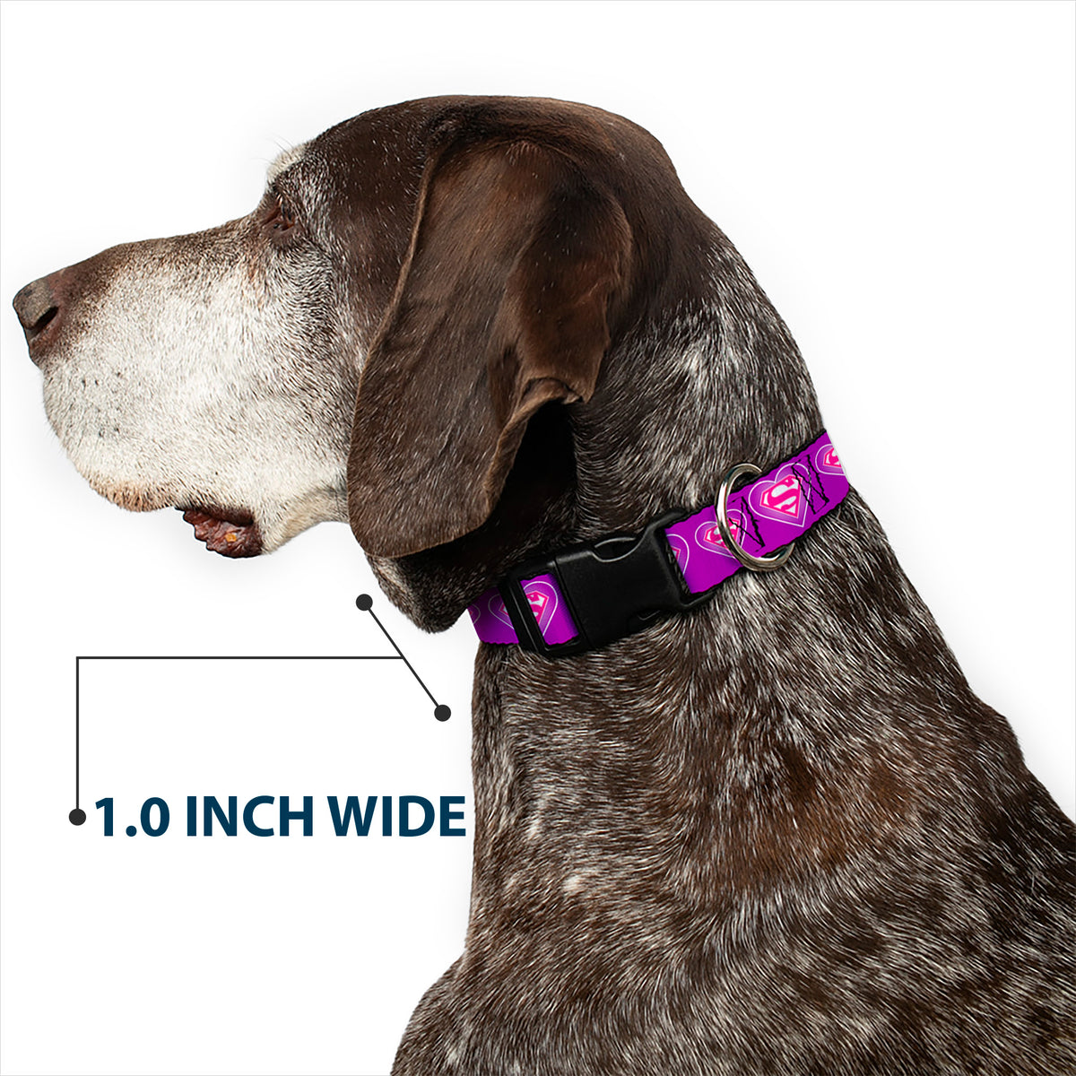 Plastic Clip Collar - Superman Logo in Heart Purple/White/Pink Dog Collars Plastic Clip Side Release DC Comics
