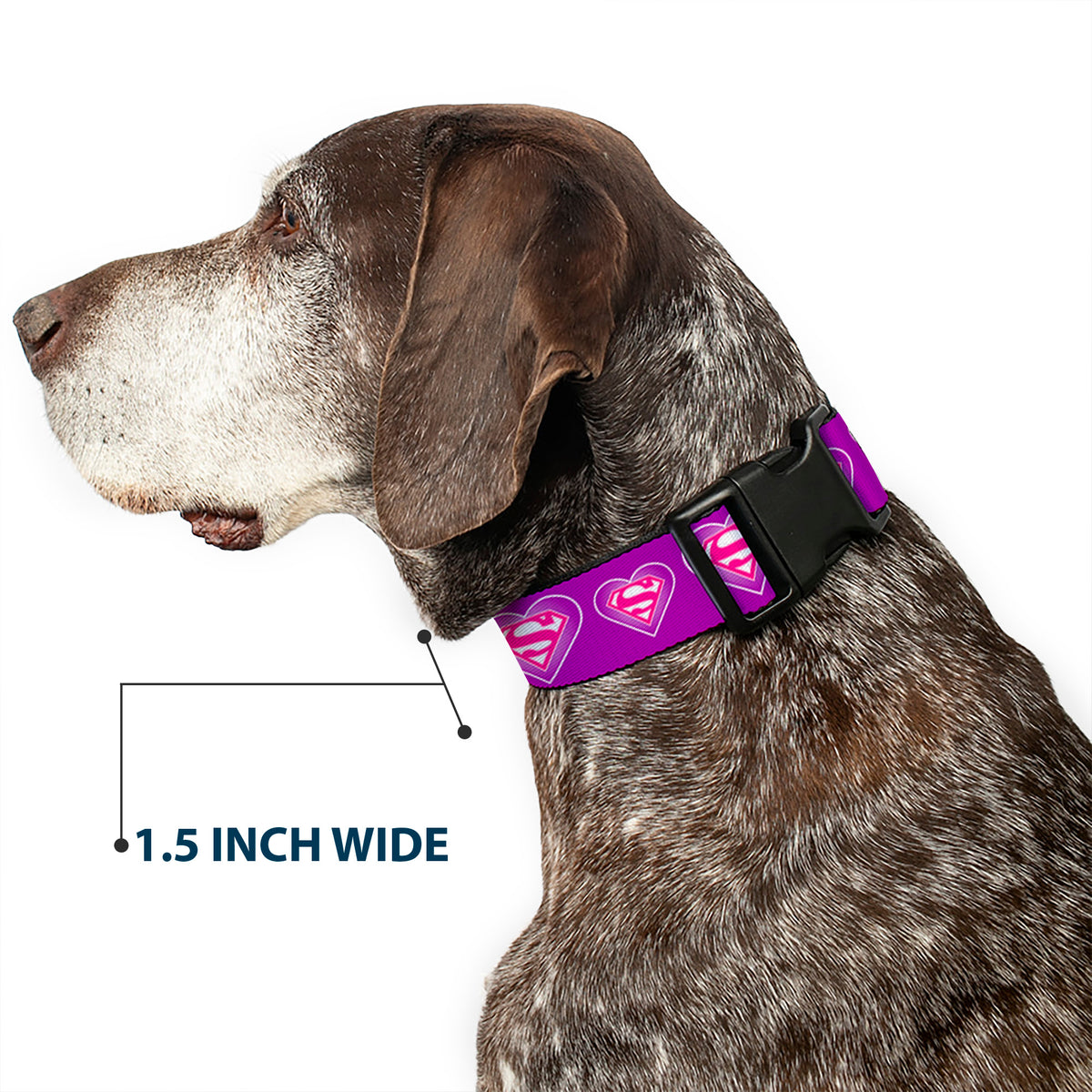 Plastic Clip Collar - Superman Logo in Heart Purple/White/Pink Dog Collars Plastic Clip Side Release DC Comics