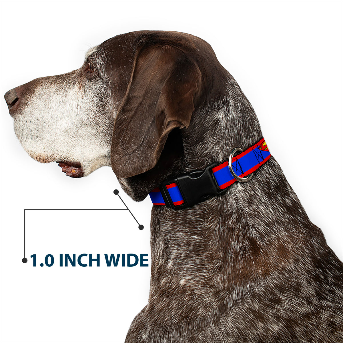Plastic Clip Collar - Superman Shield/Stripe Red/Blue Dog Collars Plastic Clip Side Release DC Comics