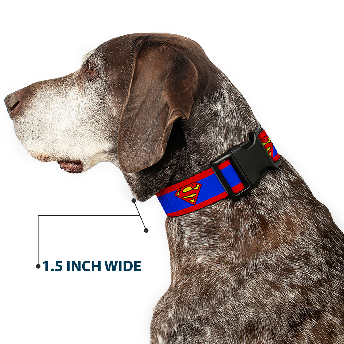 Plastic Clip Collar - Superman Shield/Stripe Red/Blue Dog Collars Plastic Clip Side Release DC Comics
