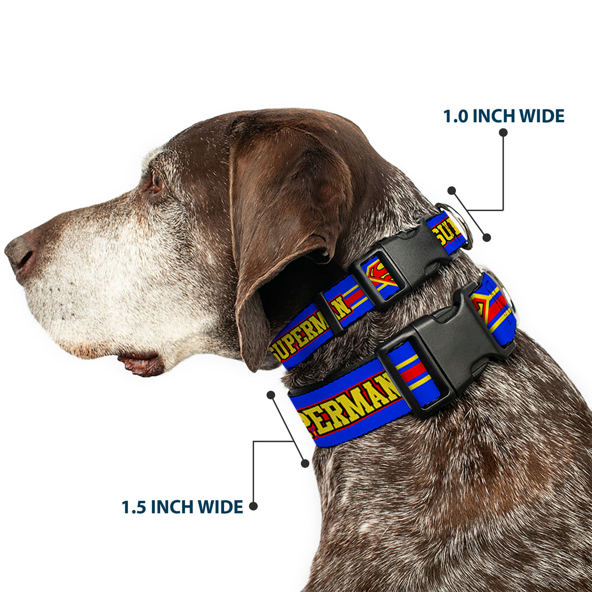 Plastic Clip Collar - SUPERMAN/Shield Stripe Blue/Yellow/Red Dog Collars Plastic Clip Side Release DC Comics